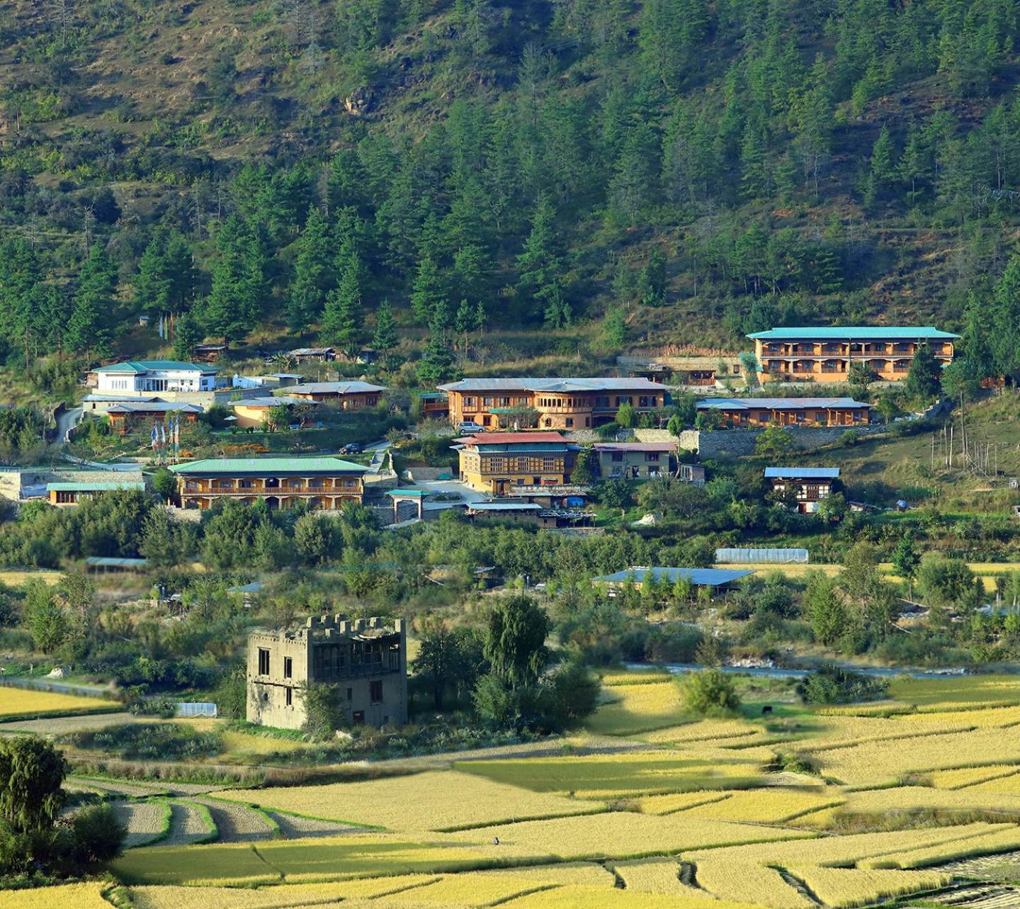Rema Resort Paro Zewnętrze zdjęcie